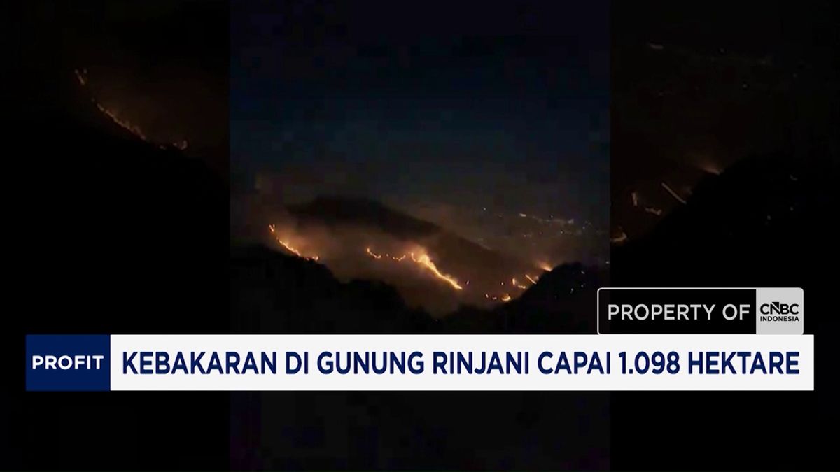 Kebakaran Dahsyat Landa Gunung Rinjani, Lebih dari Seribu Hektare Hutan Hangus