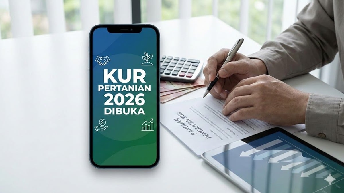 KUR Pertanian 2026 Dibuka? Ini Syarat, Plafon Pinjaman, dan Cara Pengajuan Terbaru